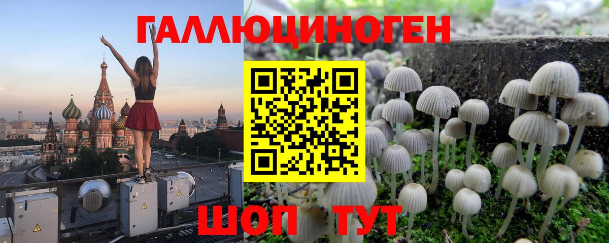 Псилоцибиновые грибы прущие грибы  Псилоцибиновые грибы MAGIC MUSHROOMS  Кунгур  где найти   Вход с VPN 