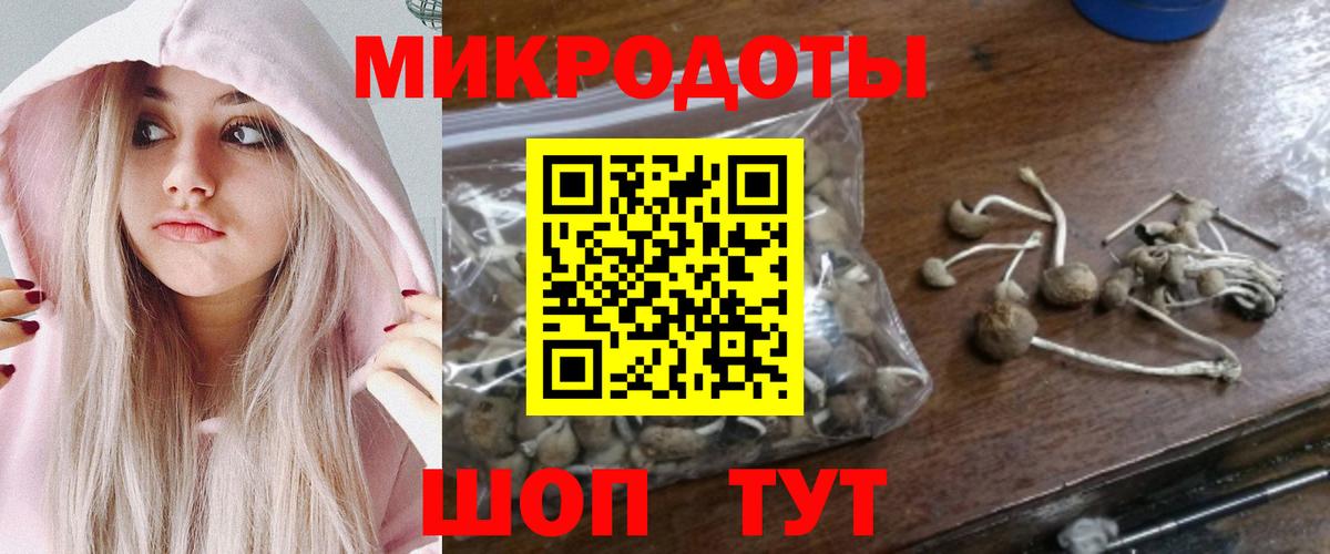 Галлюциногенные грибы прущие грибы Кунгур